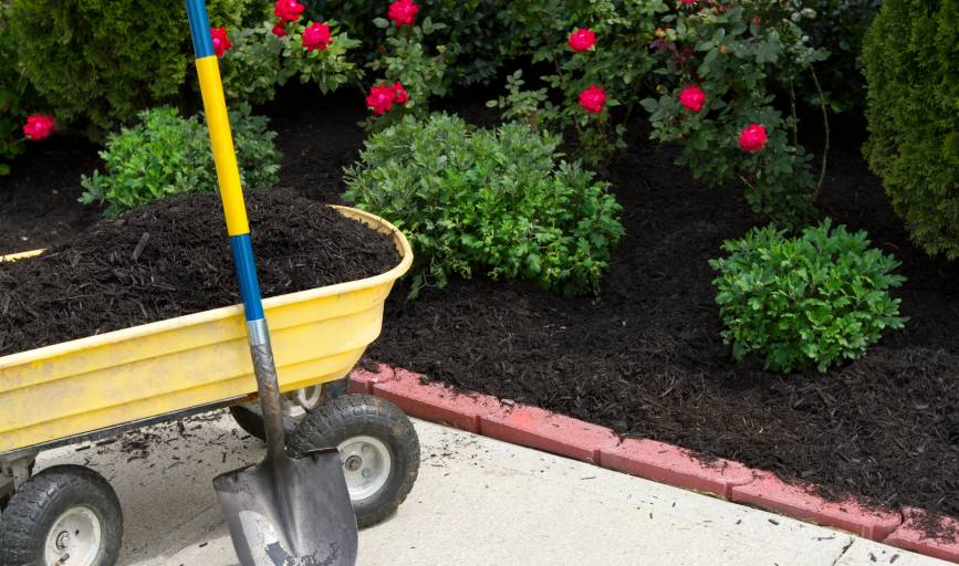 Mulching